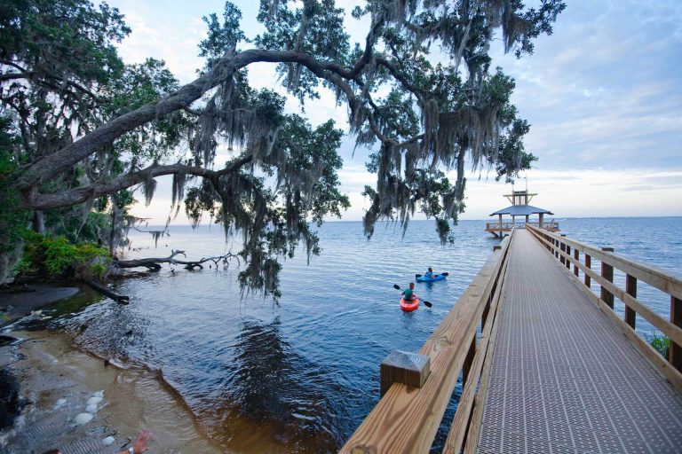 Discover natural Florida from the St. Johns River