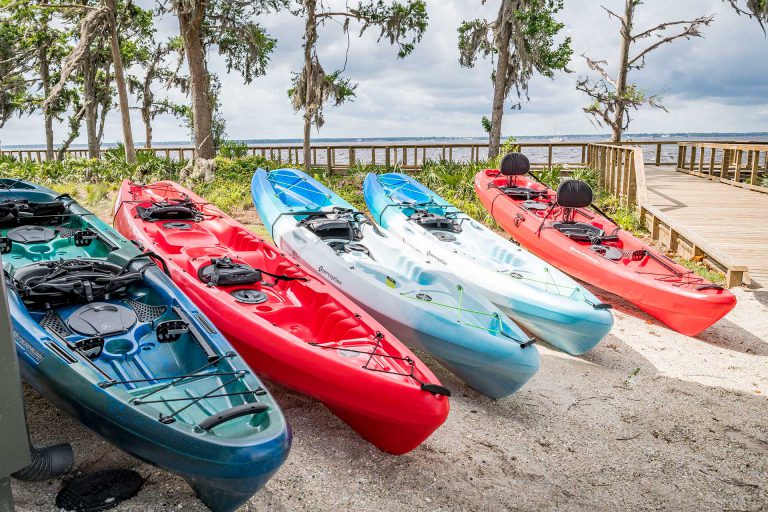 Kayaking and adventure fun on the St. Johns River