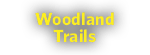 woodland trails