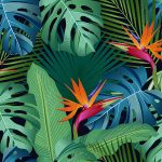 Tropical