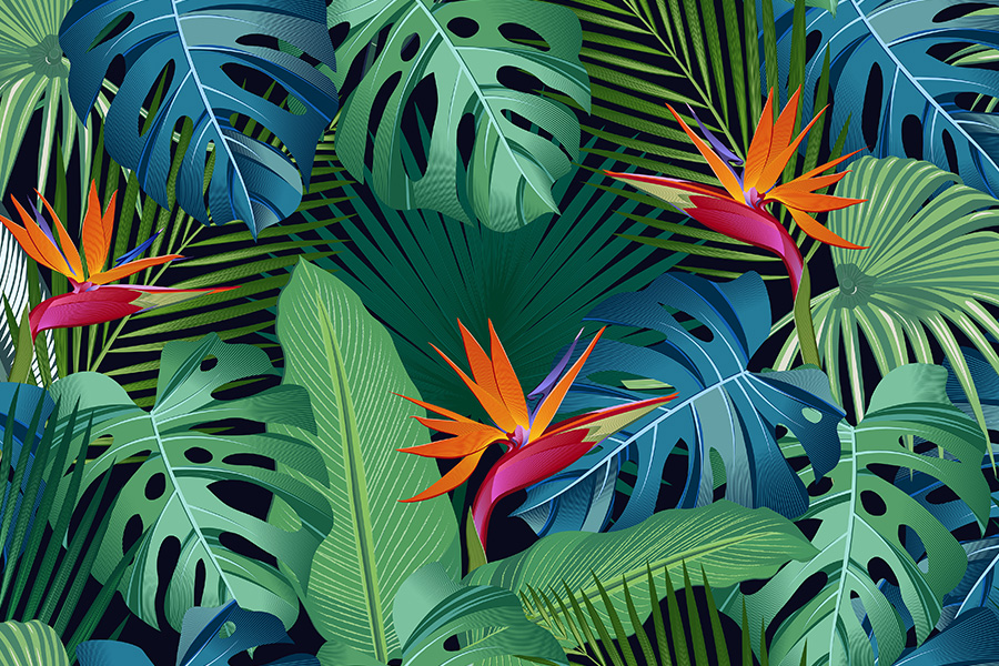 Tropical