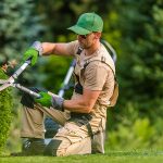 landscaping