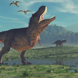 Dinosaur