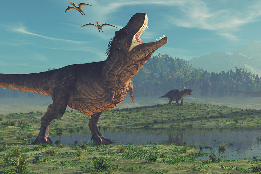 Dinosaur